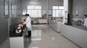Laboratoire de tests